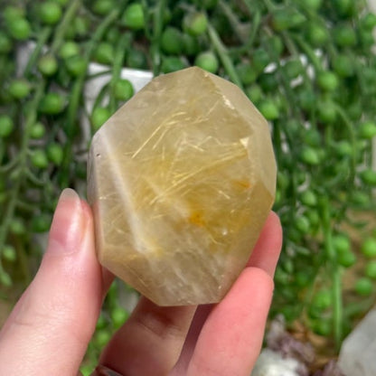 Golden Rutile Free Form (J16)