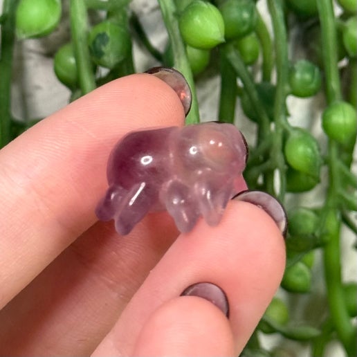 Fluorite Mini Spider