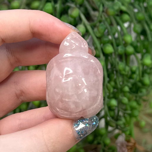 Rose Quartz Turtle (H912)