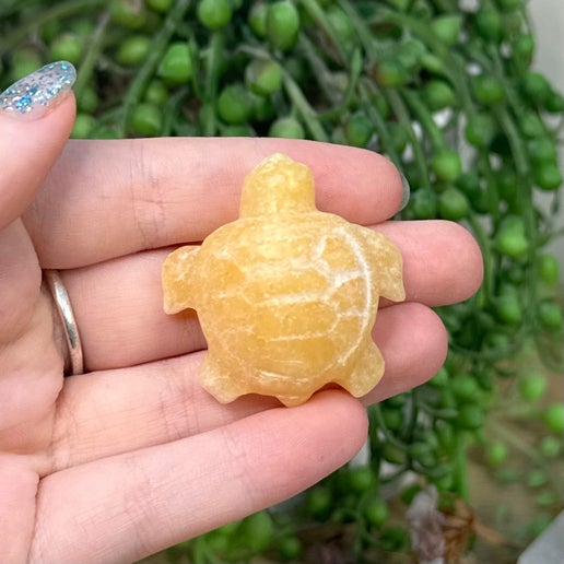 Yellow Calcite Turtle (C555)