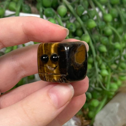 Tiger Eye Pet Rock