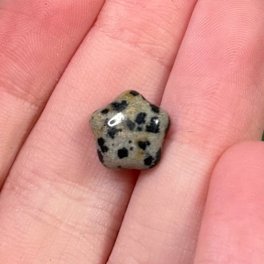 Dalmatian Jasper Tiny Star