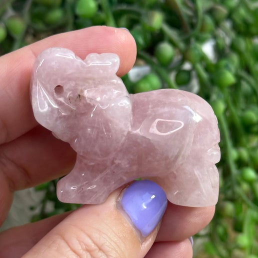 Rose Quartz Elephant (I513)