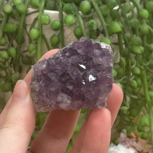 Amethyst Cluster (G101)