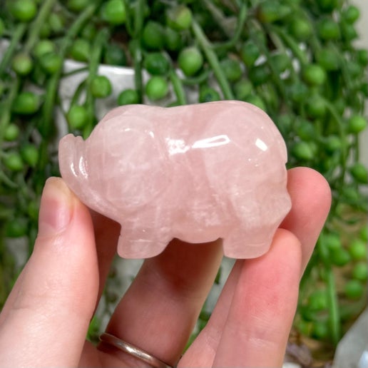 Rose Quartz Pig (K99) (K100)