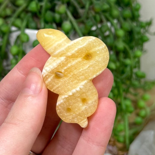 Yellow Calcite Snake (I815)