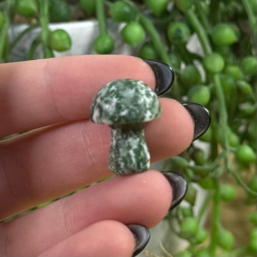 Green Spot Jasper Mini Mushroom