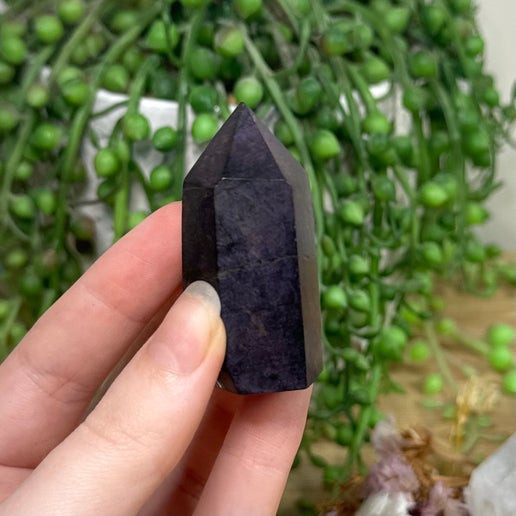 Purpurite Point (E783)