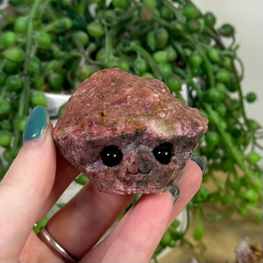 Rhodonite Pet Rock (J477)