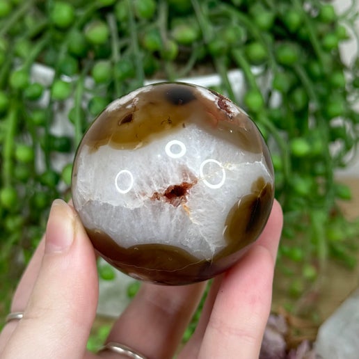 Black Flower Agate Sphere (M80)