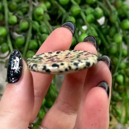 Dalmatian Jasper Lucky Stones