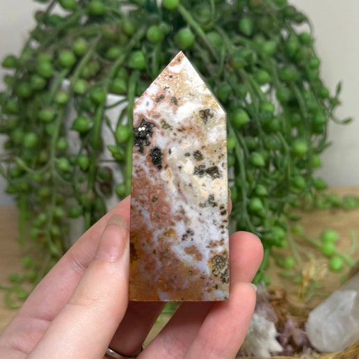 Ocean Jasper Point (K634)