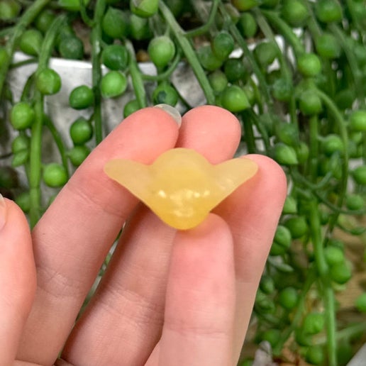 Yellow Calcite Bee