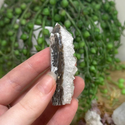 Apophyllite / Sphalerite Point (K314)