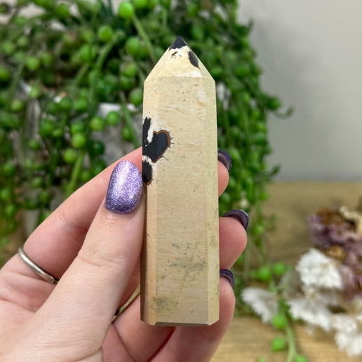 Picture Stone Jasper point (B126)