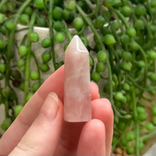 Rose Quartz Small Point