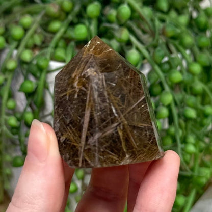 Rutile Point (D147)