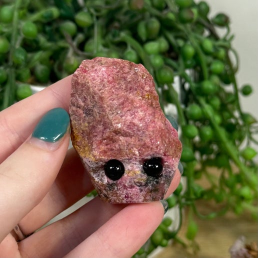 Rhodonite Pet Rock (J474)