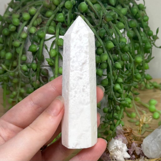 Snow Agate Point (G472)