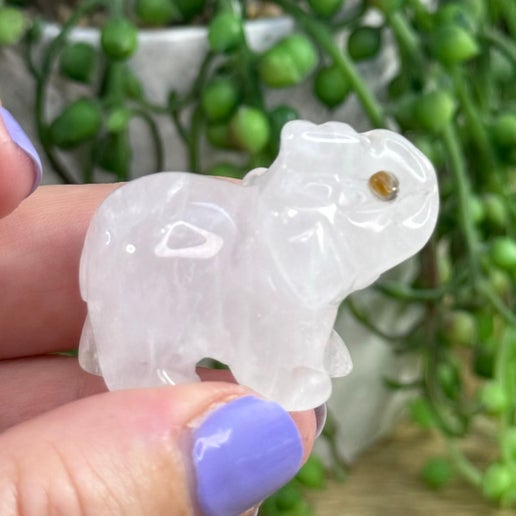 Clear Quartz Elephant (I498)