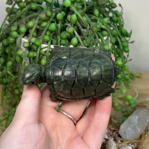 Green Jade Turtle (C564)