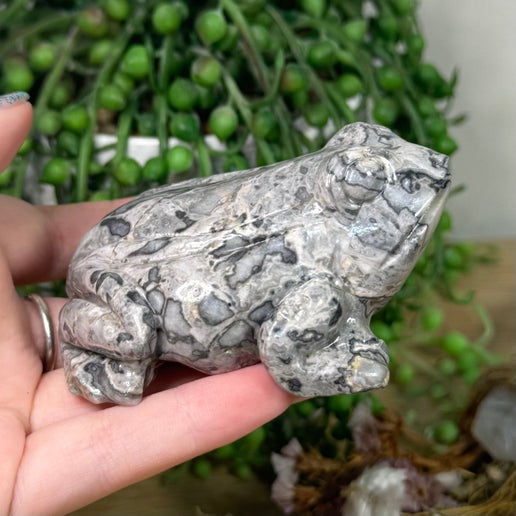 Picasso Jasper Frog (L51)