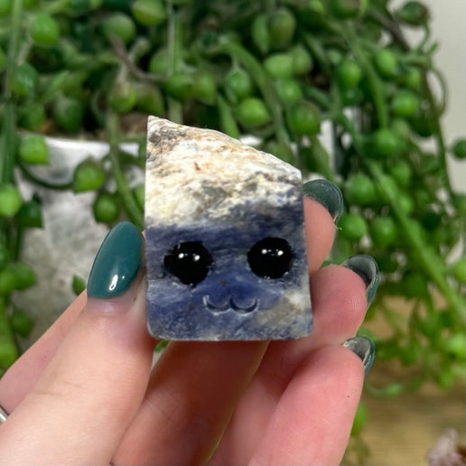 Sodalite Pet Rock (J441)