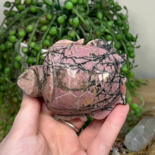 Rhodonite Turtle (H301)