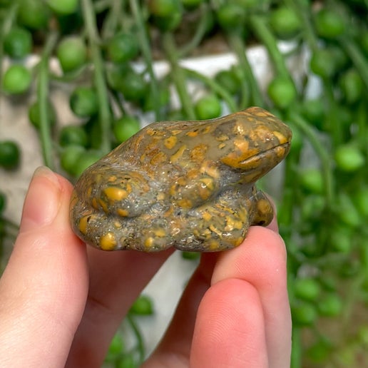 Bamboo Jasper Frog (L880)