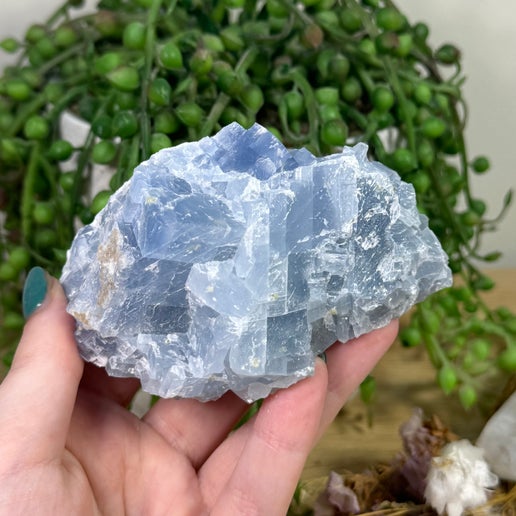 Blue Celestite Cluster (K160)