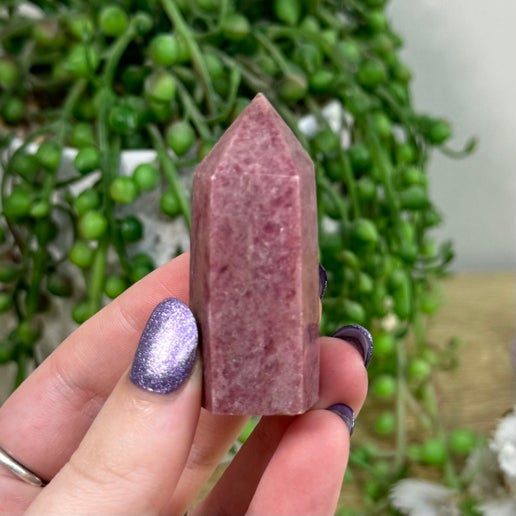 Rhodonite Point (E772)