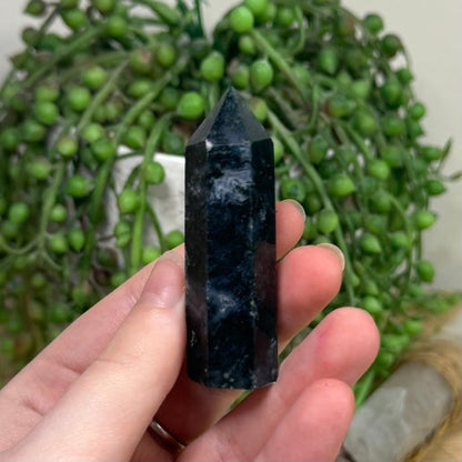 Moss Agate Point (K337)