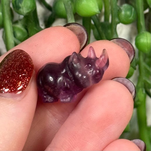 Fluorite Mini Rhino