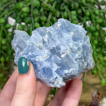 Blue Celestite Cluster (K154)