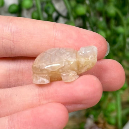 Flower Agate Mini Turtle