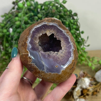 Druzy Amethyst Geode (J915)