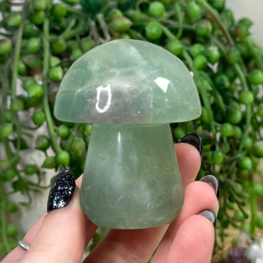 Green Feather Fluorite Mushroom (E364)