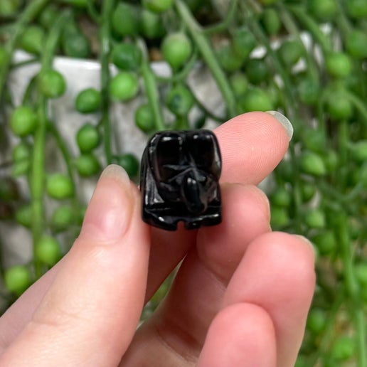 Black Obsidian Small Triceratops