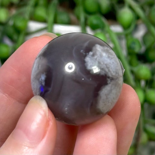 Black Flower Agate Sphere (E148)