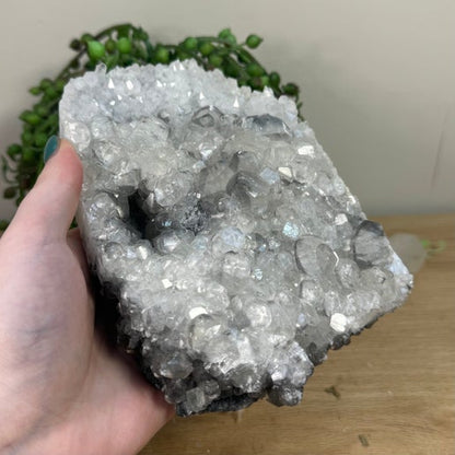 Apophyllite Cluster (K286)