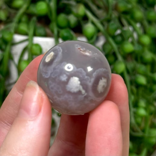 Black Flower Agate Sphere (E147)