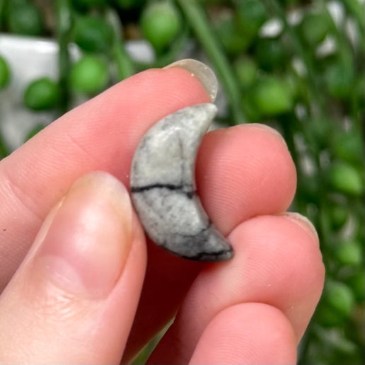 Spider Web Jasper Tiny Moon