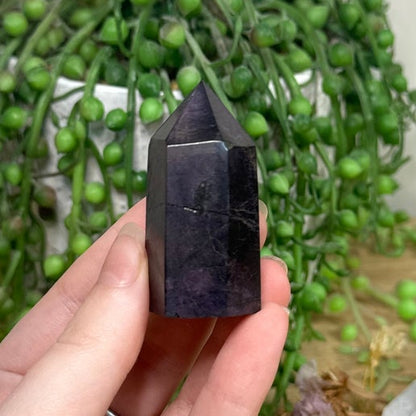 Purpurite Point (E783)