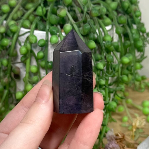Purpurite Point (E783)