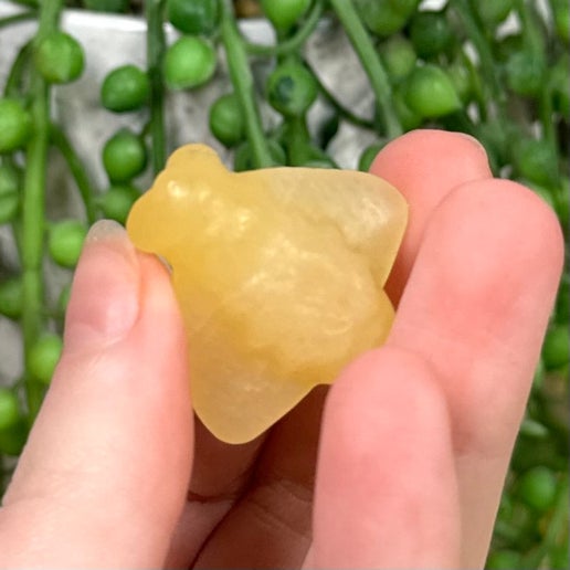 Yellow Calcite Bee