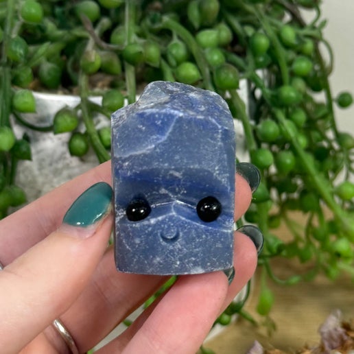 Blue Aventurine Pet Rock (J446)