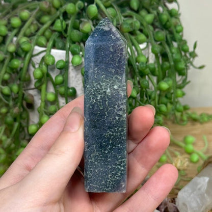 Grape Agate Point (B46)