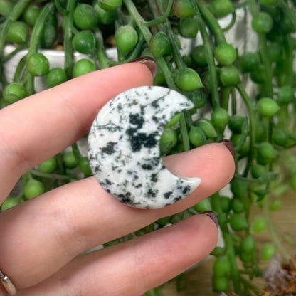 Tree Agate Moon Air Vent Car Clip