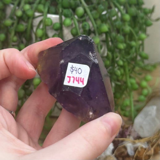 Amethyst Root (J744)