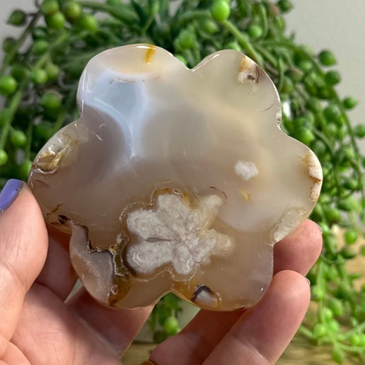 Flower Agate Flower (B331)